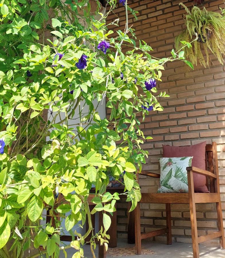 Pôrto de Pedras Arataba Hotel Boutique E Bistro - 150 Mts Do Mar מראה חיצוני תמונה